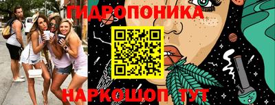 jwh Кинель