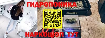 дурь Кимры