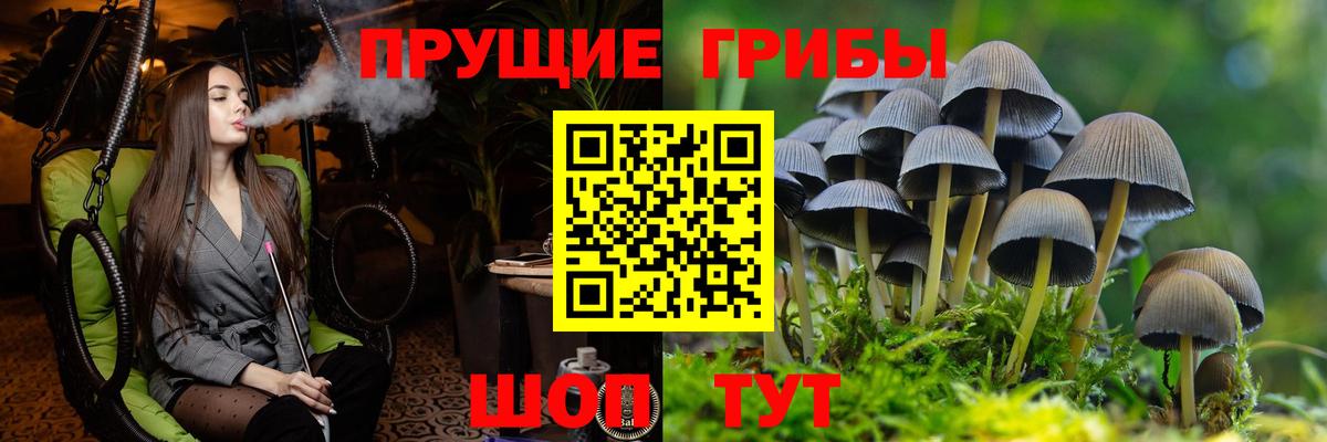 Галлюциногенные грибы мицелий Красный Сулин